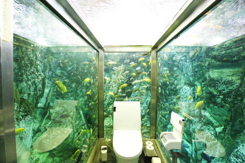 トイレの中が水族館 海の見えるカフェレストラン ヒポポパパ エバーハウジング